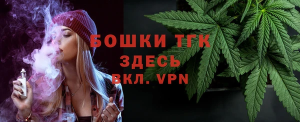 гашик Пересвет