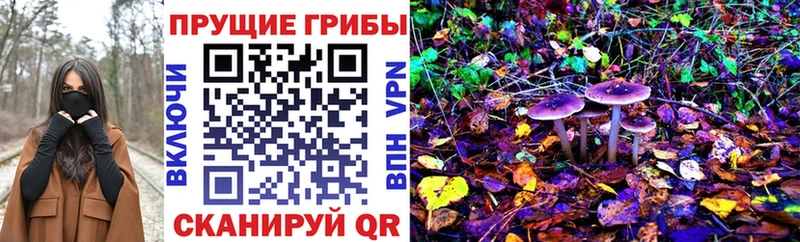 гидра ТОР  Армянск  Галлюциногенные грибы Psilocybe 